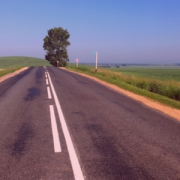 image of a two lane road in between two fields. there is a tree on the right side of the road